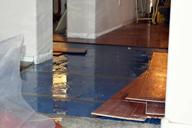 Professional Water Damage Repair technician working in Long Beach, WA
